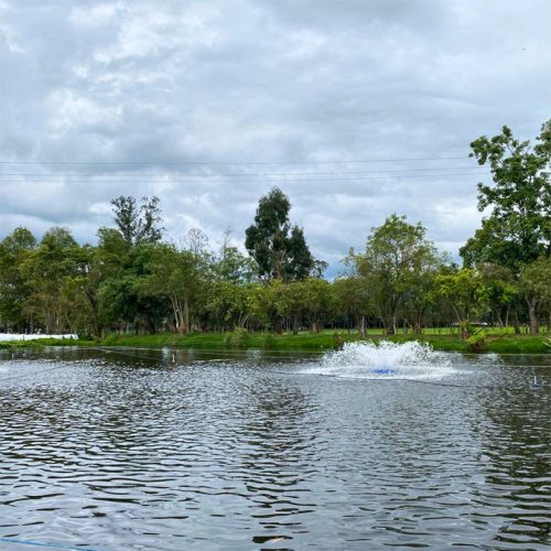 RESERVORIO